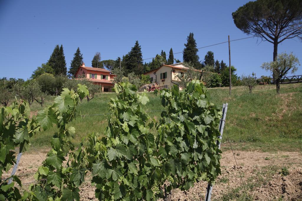 Agriturismo Podere Poggio Ai Cieli San Gimignano Extérieur photo